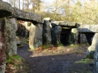 Druids Rocks