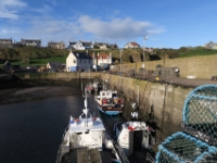 St Abbs, Berwickshire